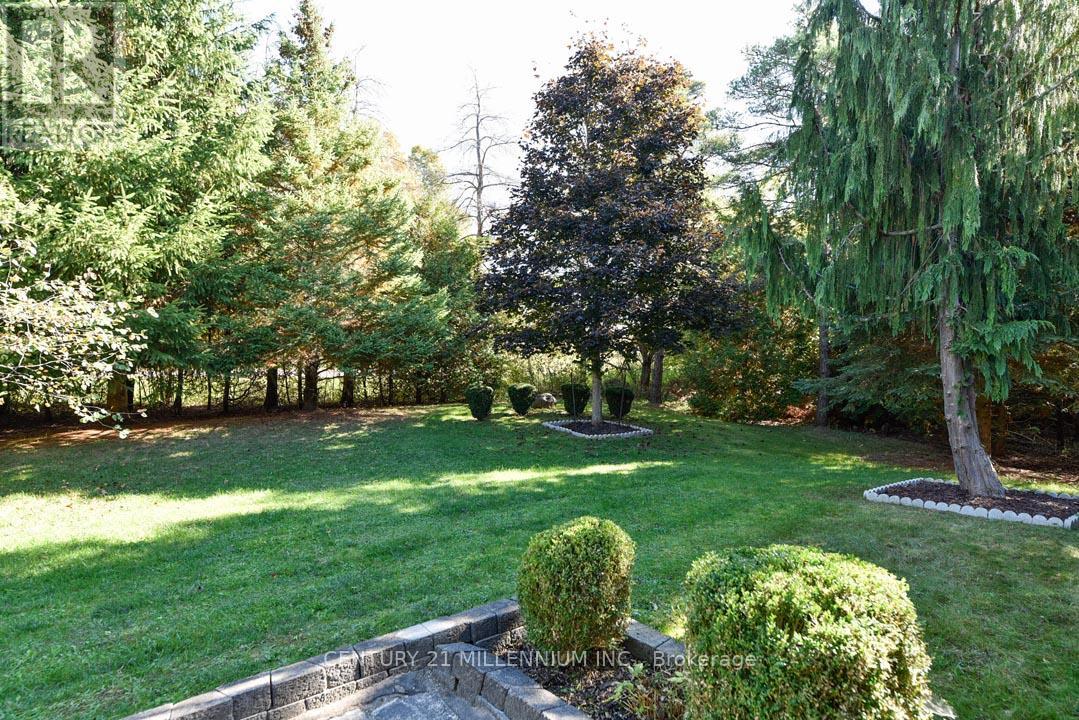 19976 KENNEDY ROAD - 12
