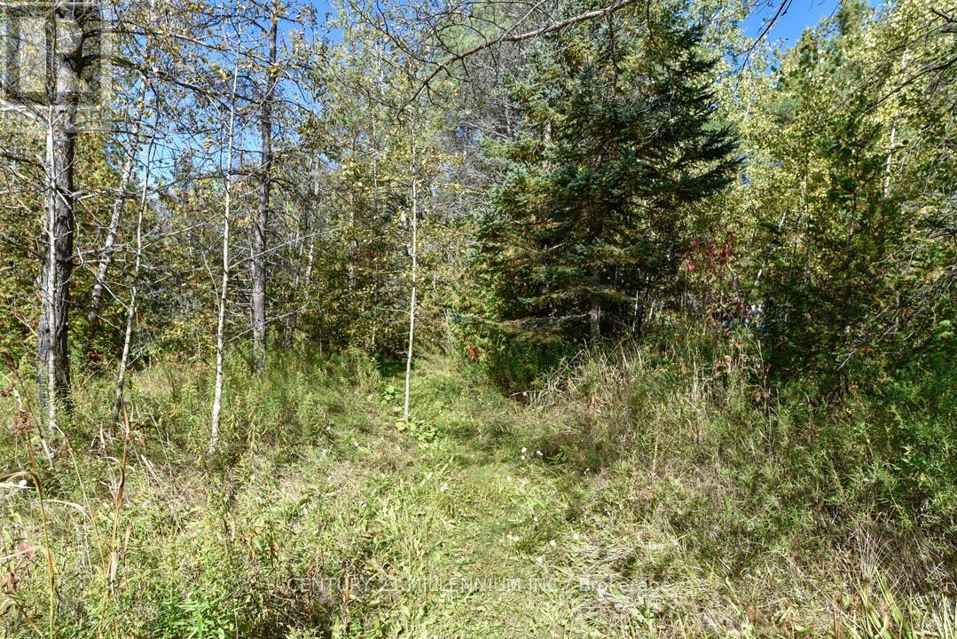 19976 KENNEDY ROAD - 48