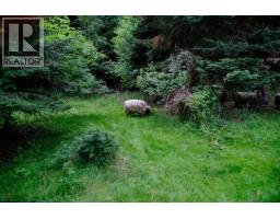 19465 Mcneil Road, Pitt Meadows, BC V3Y1Z1 Photo 15