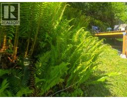 620 Cardiac Climb Rd, Tahsis, BC V0P1X0 Photo 39