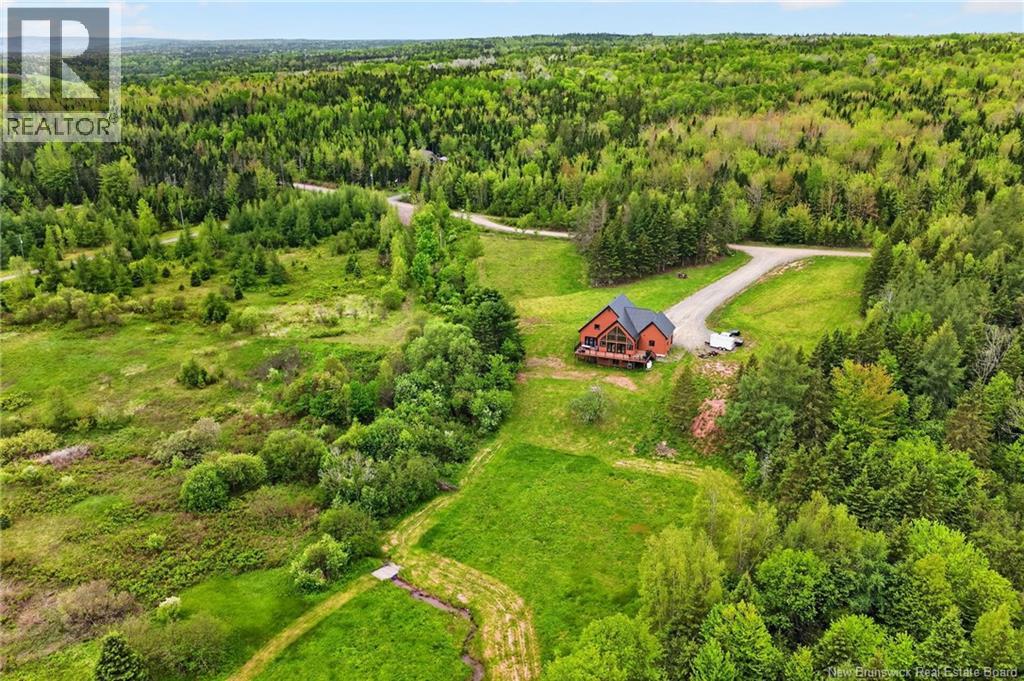 68 Collicutt Road - 49