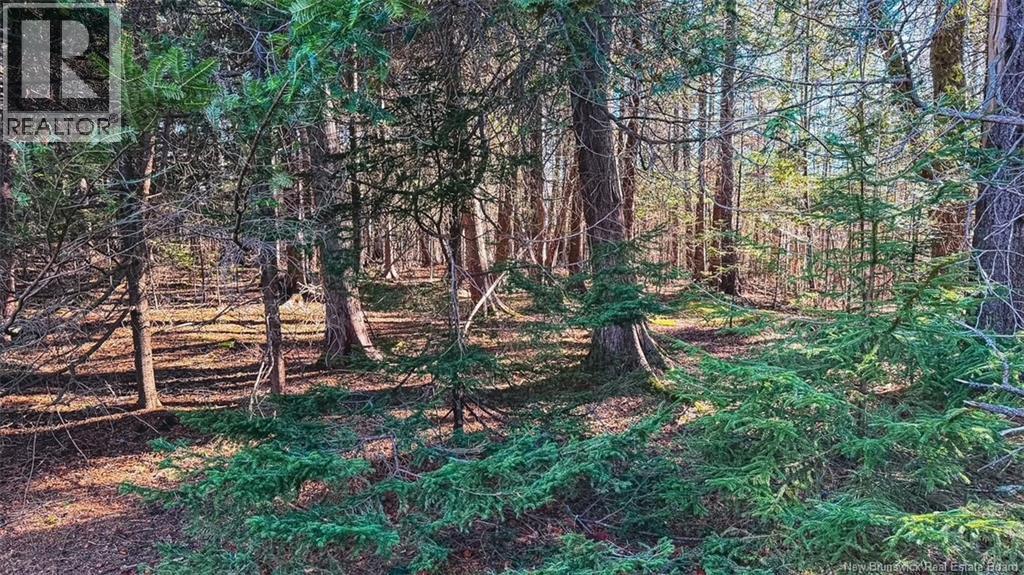 48 GONDOLA POINT Road - Image 39