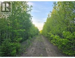 Lot 2 Dingley Road, Head Of Millstream, NB E4Z1W1 Photo 6