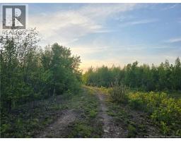 Lot 2 Dingley Road, Head Of Millstream, NB E4Z1W1 Photo 7