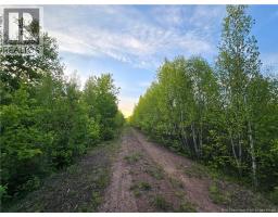 Lot 2 Dingley Road, Head Of Millstream, NB E4Z1W1 Photo 8