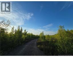 Lot 1 Dingley Road, Head Of Millstream, NB E4Z1W1 Photo 6