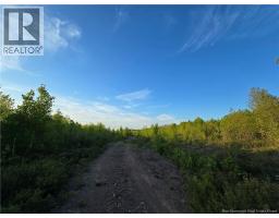 Lot 1 Dingley Road, Head Of Millstream, NB E4Z1W1 Photo 7
