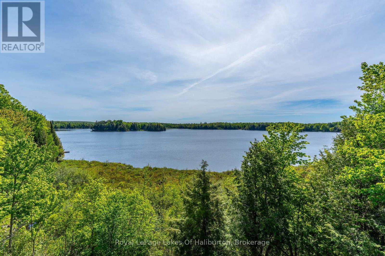 1123 BALMORAL LANE - 25