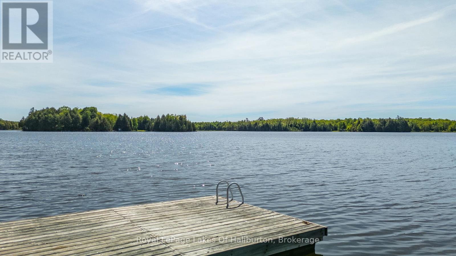 1123 BALMORAL LANE - 4