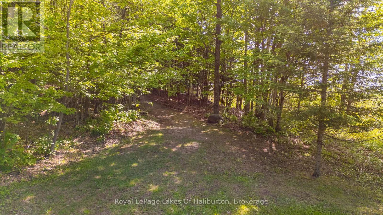 1123 BALMORAL LANE - 47