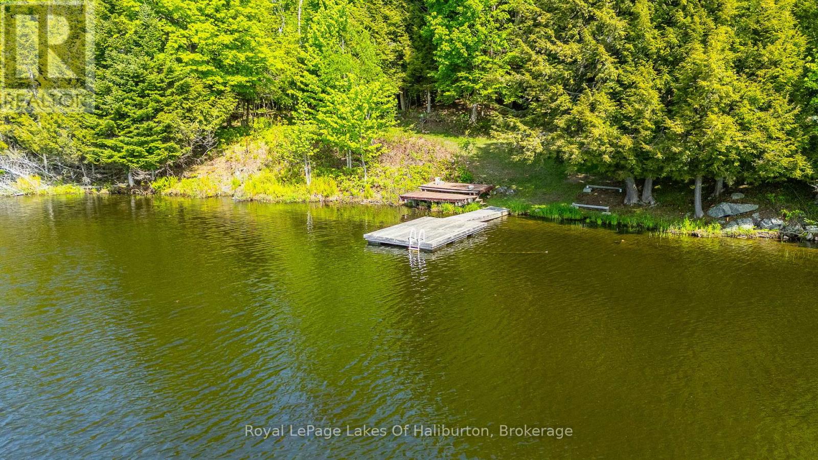 1123 BALMORAL LANE - 5