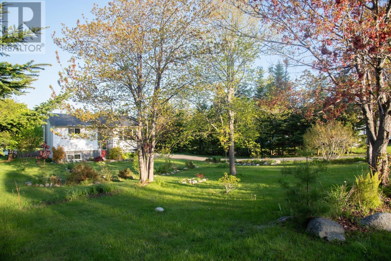 42 David Allen Drive - 5