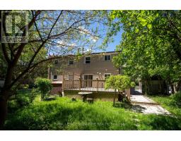 333 Neal Drive, Richmond Hill, ON L4C3L3 Photo 23