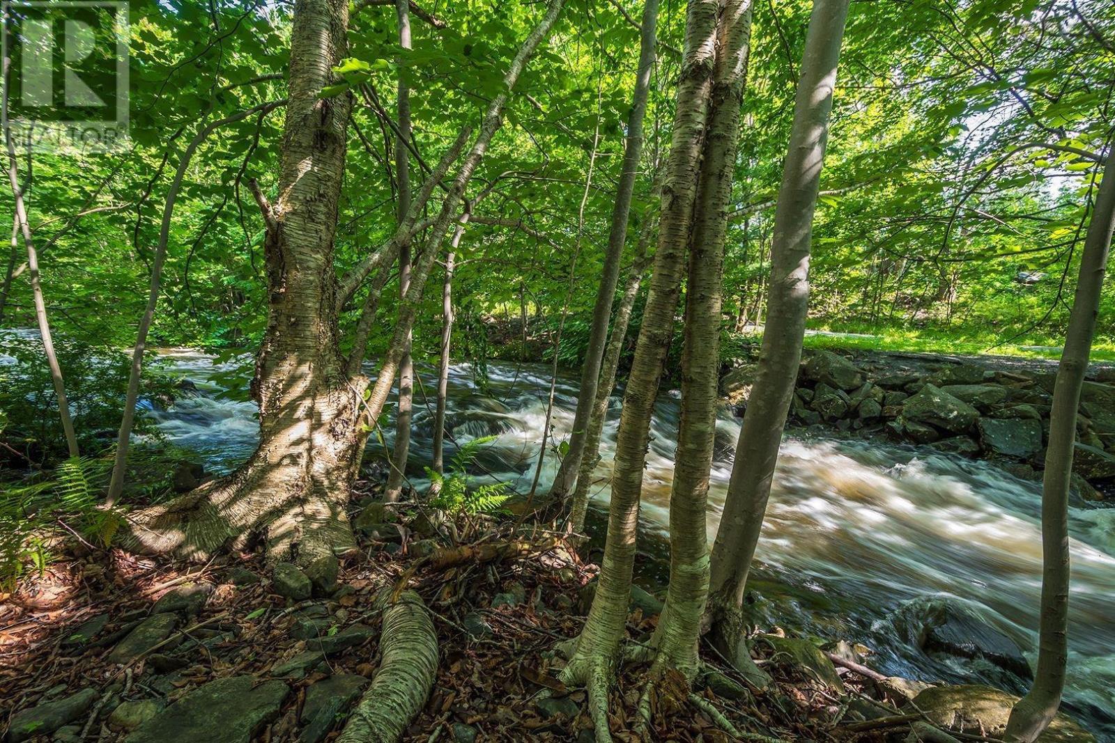 #1 41 Moirs Mill Road - 21