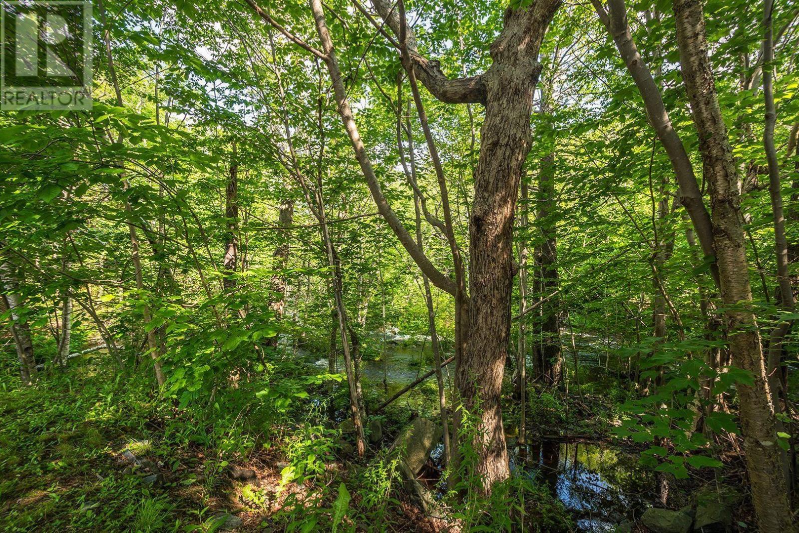 #1 41 Moirs Mill Road - 20