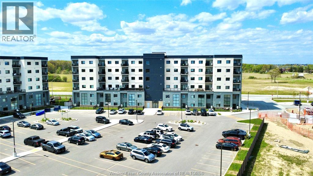 #420 7337 Meo BOULEVARD - 16