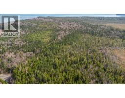 Lot C Old Shore Road, Tynemouth Creek, NB E5R1V8 Photo 6