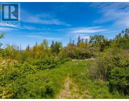 3021 Shore Road W, Litchfield, NS B0S1A0 Photo 7