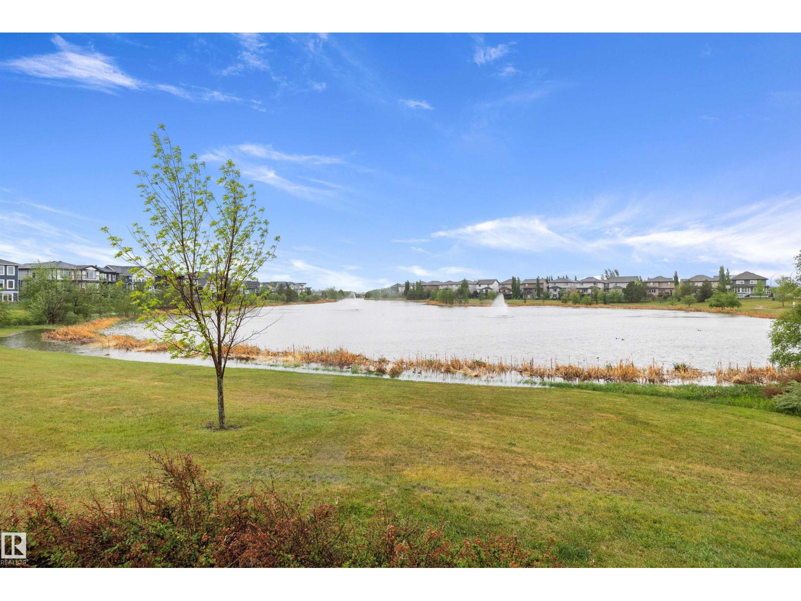 467 SHEPPARD BV — photo 40