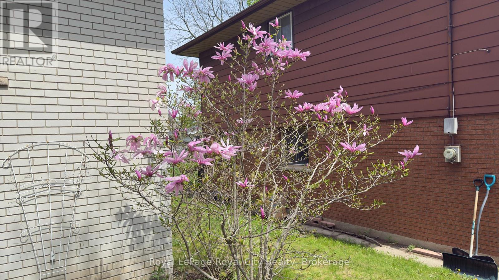 55 LONSDALE DRIVE - 26
