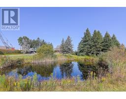 2768 Davis Drive, East Gwillimbury, ON L3Y4W1 Photo 21