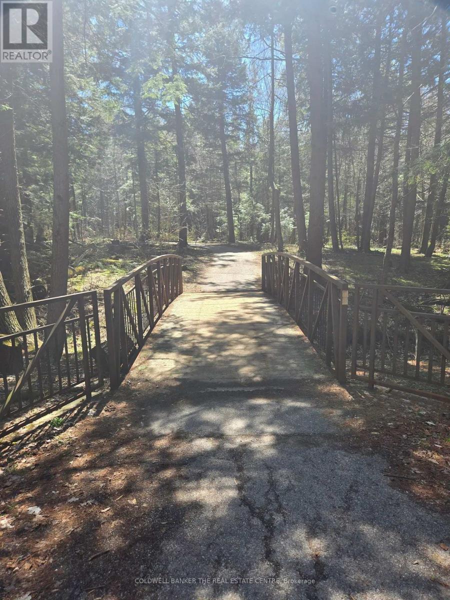 352 COACHWHIP TRAIL - 41