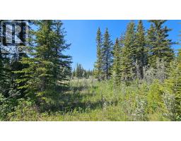 4, 34364 Range Road 42, Rural Mountain View County, AB T0M1X0 Photo 8