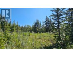 4, 34364 Range Road 42, Rural Mountain View County, AB T0M1X0 Photo 9