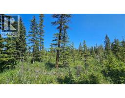 12, 34364 Range Road 42, Rural Mountain View County, AB T0M1X0 Photo 14
