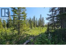 12, 34364 Range Road 42, Rural Mountain View County, AB T0M1X0 Photo 9