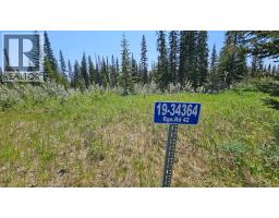 19, 34364 Range Road 42, Rural Mountain View County, AB T0M1X0 Photo 6