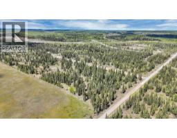 19, 34364 Range Road 42, Rural Mountain View County, AB T0M1X0 Photo 13