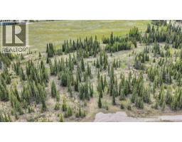 19, 34364 Range Road 42, Rural Mountain View County, AB T0M1X0 Photo 7