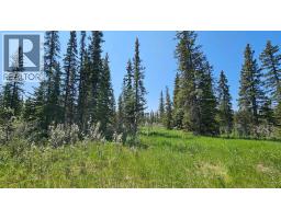 19, 34364 Range Road 42, Rural Mountain View County, AB T0M1X0 Photo 8