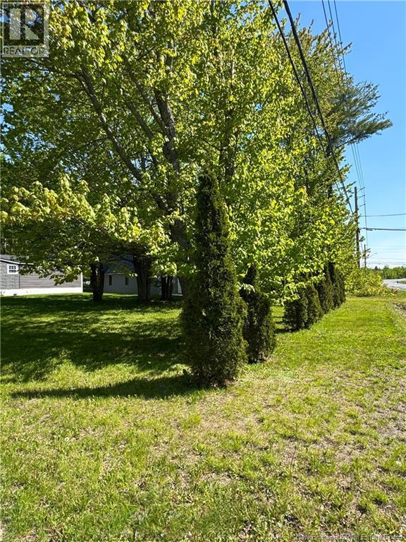 491 McKinnon Road - 32
