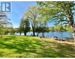9211 118 Highway, Minden Hills, ON K0M1S0 Photo 6