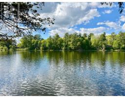 9211 118 Highway, Minden Hills, ON K0M1S0 Photo 8
