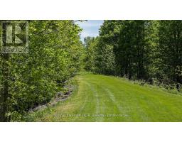 Part Of Lot 2 Concession 8, West Grey, ON N0C1H0 Photo 13