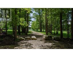 Part Of Lot 2 Concession 8, West Grey, ON N0C1H0 Photo 9