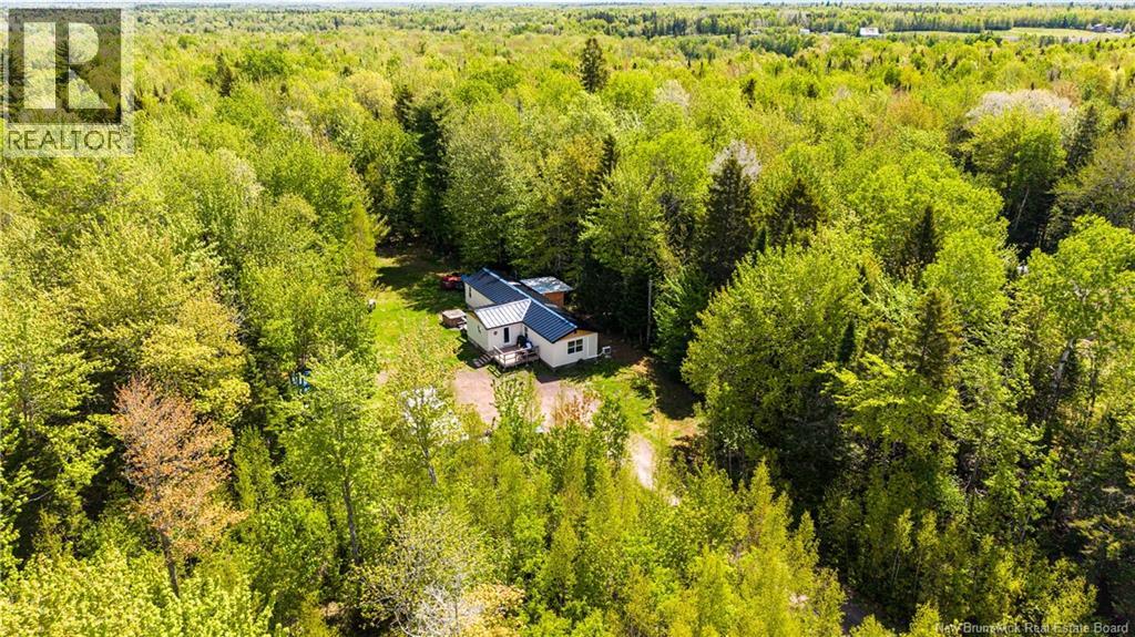 165 MacLean Crossroad - 33