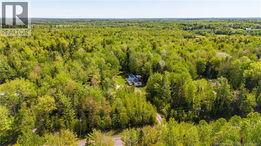 165 MacLean Crossroad - 46