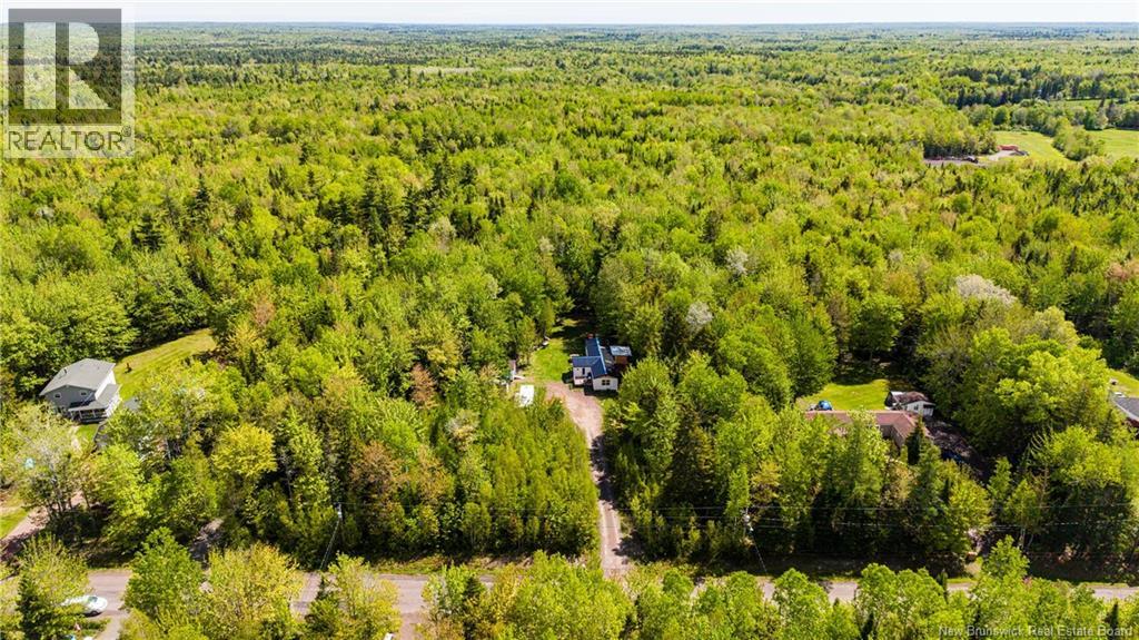 165 MacLean Crossroad - 47