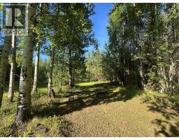 6766 Dokkie Access Road, Chetwynd, BC V0C1J0 Photo 19