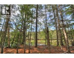 Lot Route 470, West Branch, NB E4W3G3 Photo 12