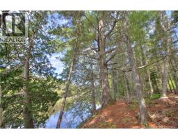 Lot Route 470, West Branch, NB E4W3G3 Photo 9