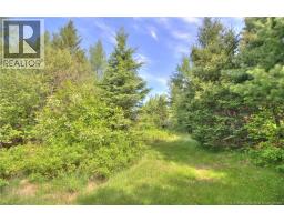 Lot Route 470, West Branch, NB E4W3G3 Photo 7
