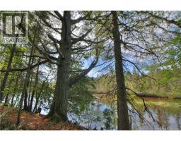 Lot Route 470, West Branch, NB E4W3G3 Photo 11