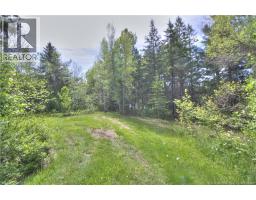 Lot Route 470, West Branch, NB E4W3G3 Photo 6