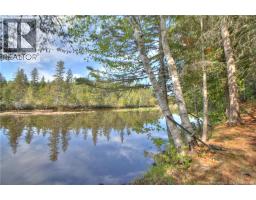 Lot Route 470, West Branch, NB E4W3G3 Photo 8