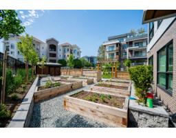 411 3182 Gladwin Road, Abbotsford, BC V2T6R7 Photo 34